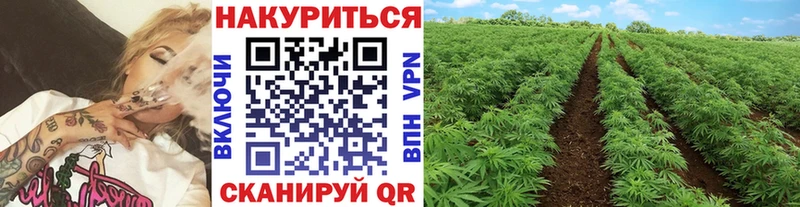 Где купить наркотики Дубовка Лсд 25 А ПВП Гашиш МАРИХУАНА