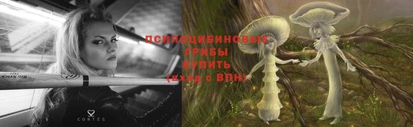 сатива Алзамай