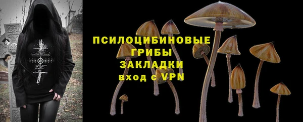 сатива Алзамай