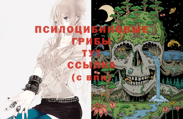 герыч Алексин