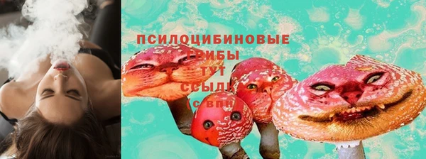 сатива Алзамай
