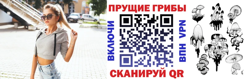 Галлюциногенные грибы Psilocybe  mega зеркало  Дубовка 